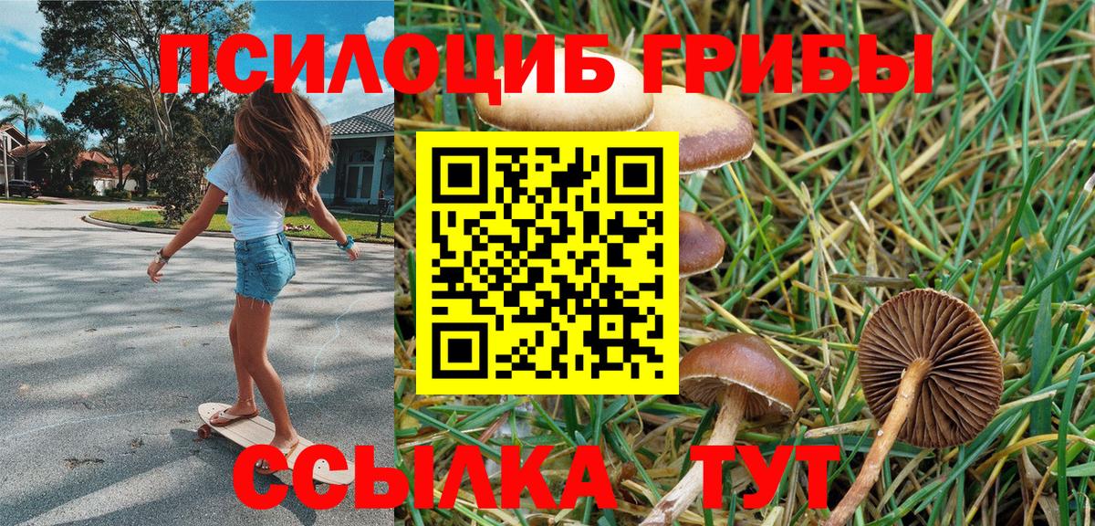 Дальнегорск  Псилоцибиновые грибы GOLDEN TEACHER  Вход с VPN 