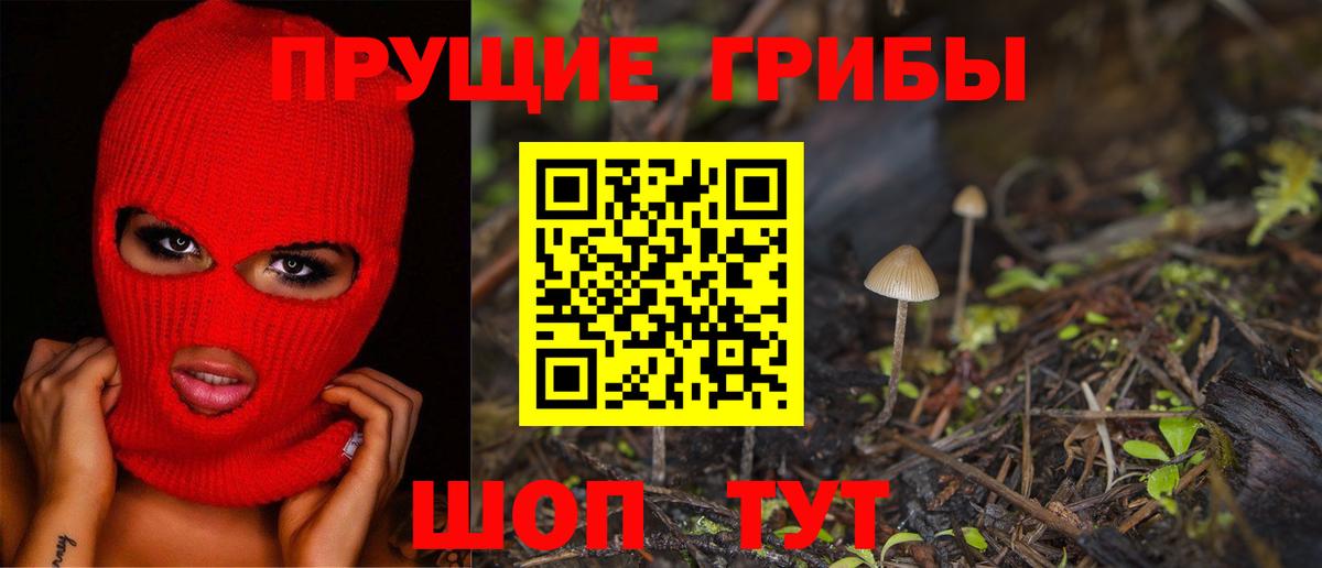 Псилоцибиновые грибы ЛСД Дальнегорск
